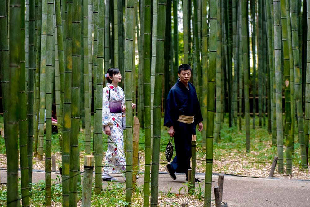 once, i saw a man and a woman walk through a bamboo forest